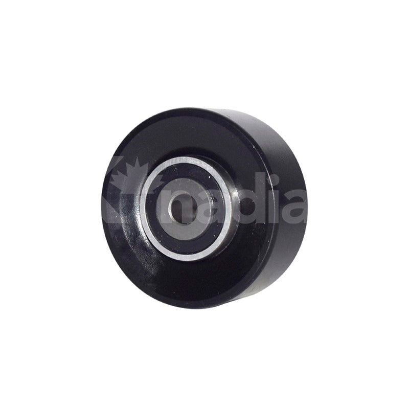 POLEA GUIA DE ACCESORIOS Hyundai Sonata 3.3L V6 2006-2010