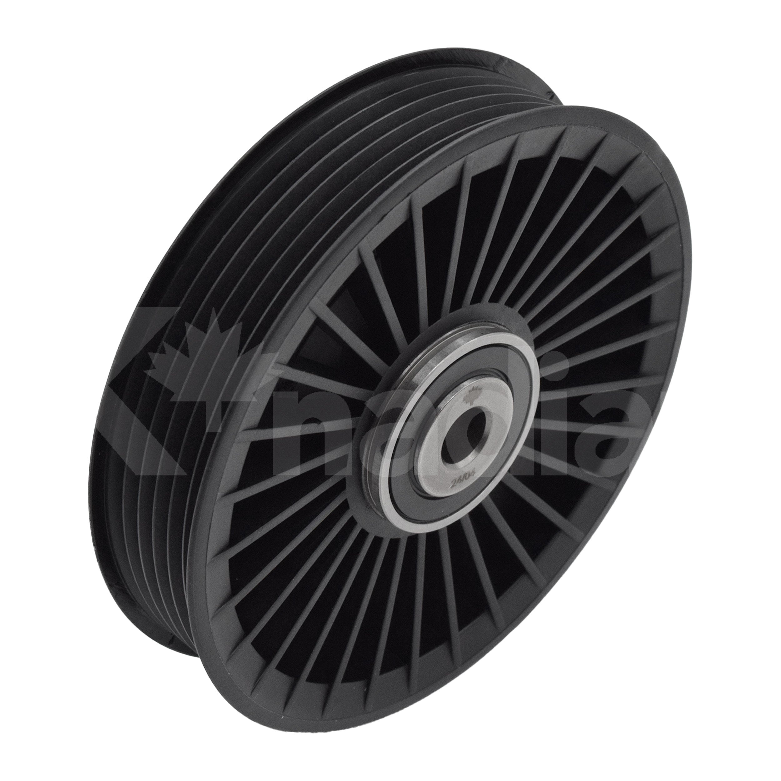 POLEA GUIA DE ACCESORIOS Chevrolet Vectra 3.2L V6 2003-2005