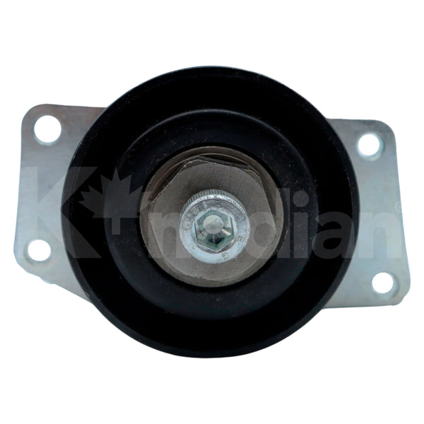 POLEA GUIA DE ACCESORIOS Peugeot 206 1.6L L4 2001-2009