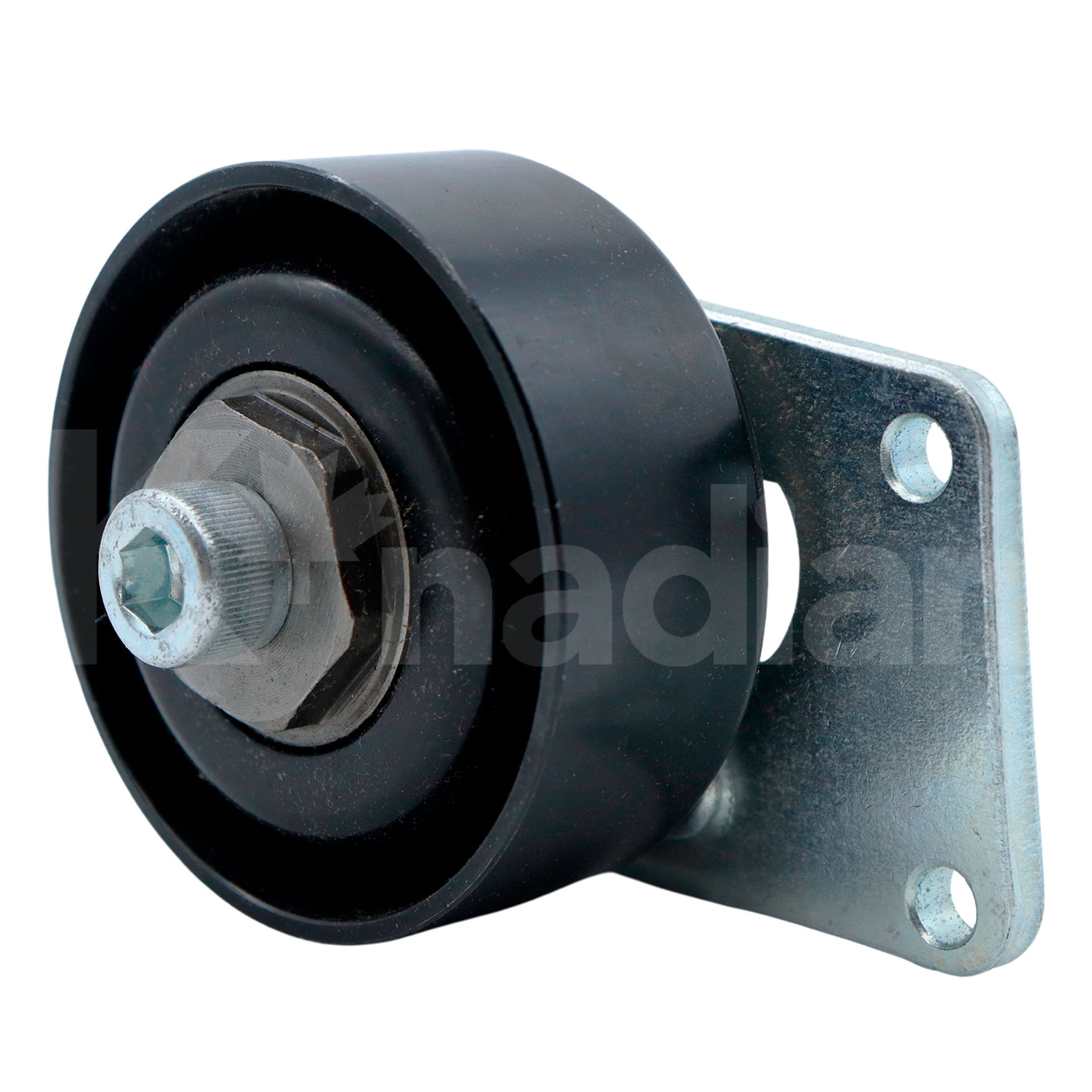 POLEA GUIA DE ACCESORIOS Peugeot 206 1.6L L4 2001-2009