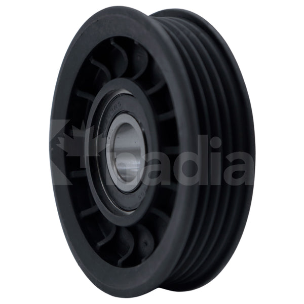 POLEA GUIA DE ACCESORIOS Chrysler PT Cruiser 2.4L L4 2003-2009