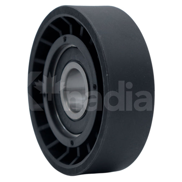 POLEA GUIA DE ACCESORIOS Cadillac CTS 6.0L V8 2006-2007