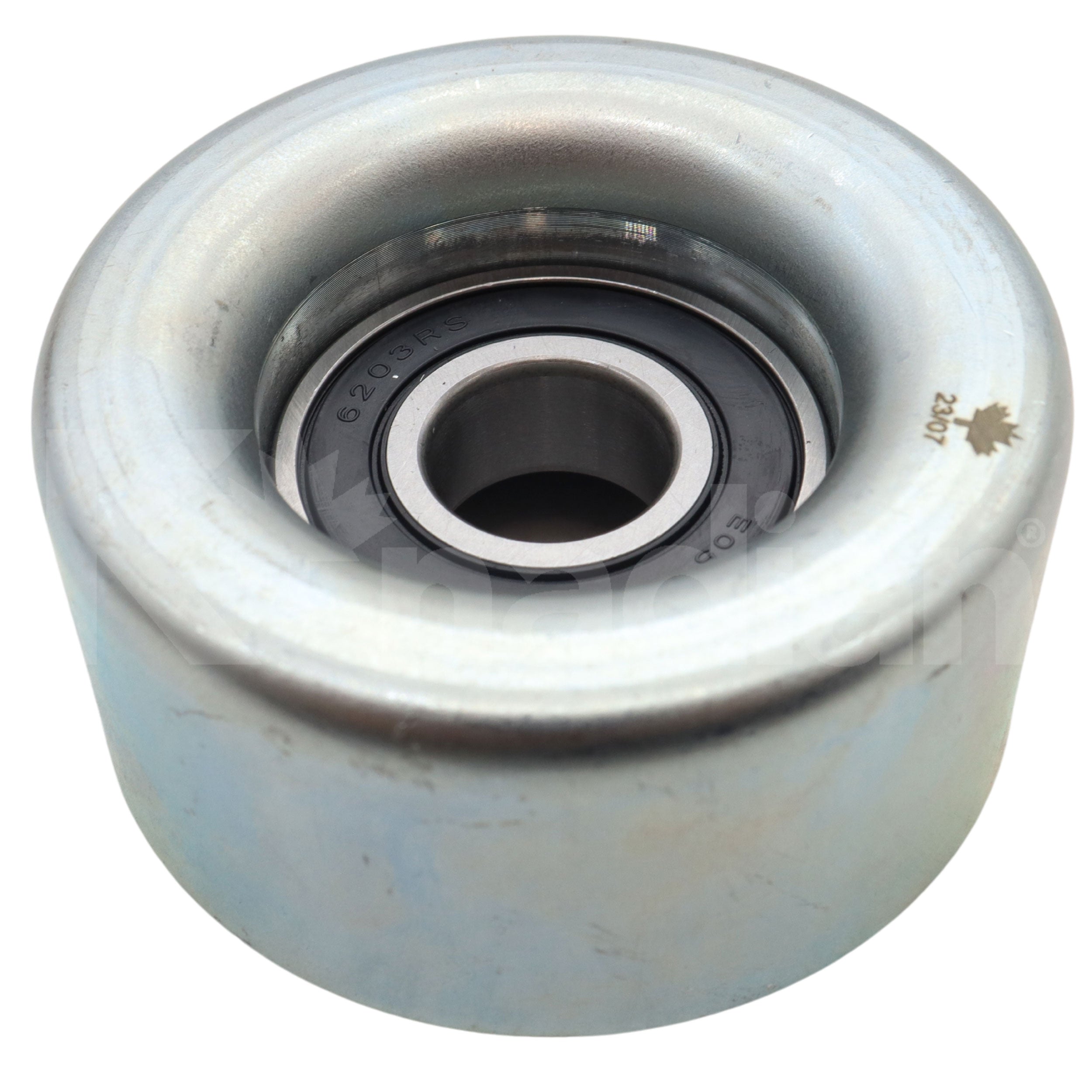 POLEA GUIA DE ACCESORIOS Pontiac Vibe 2.4L L4 2009