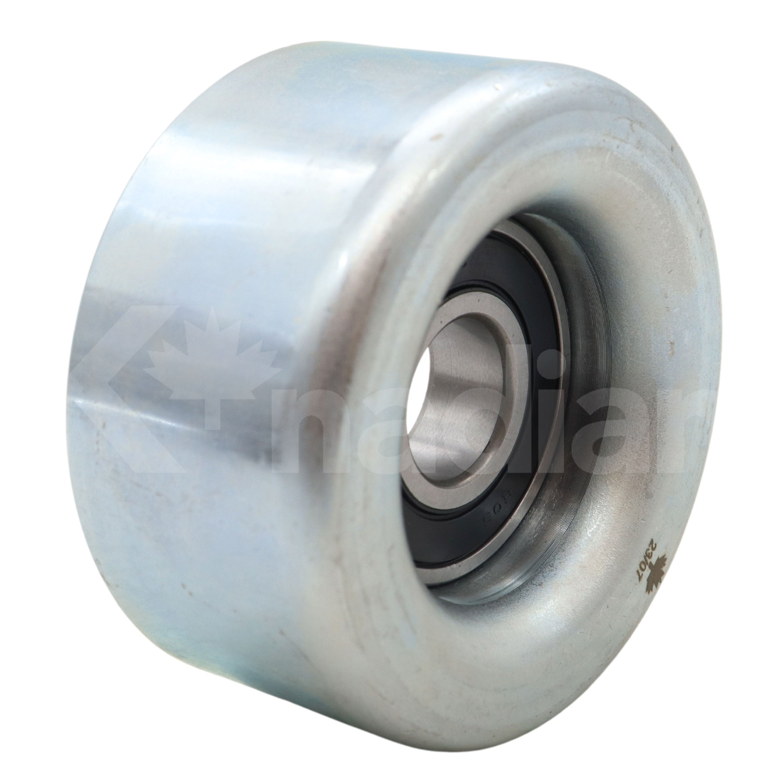 POLEA GUIA DE ACCESORIOS Pontiac Vibe 2.4L L4 2009