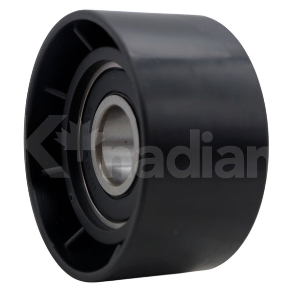 POLEA GUIA DE ACCESORIOS Renault Duster 2.0L L4 2014-2018