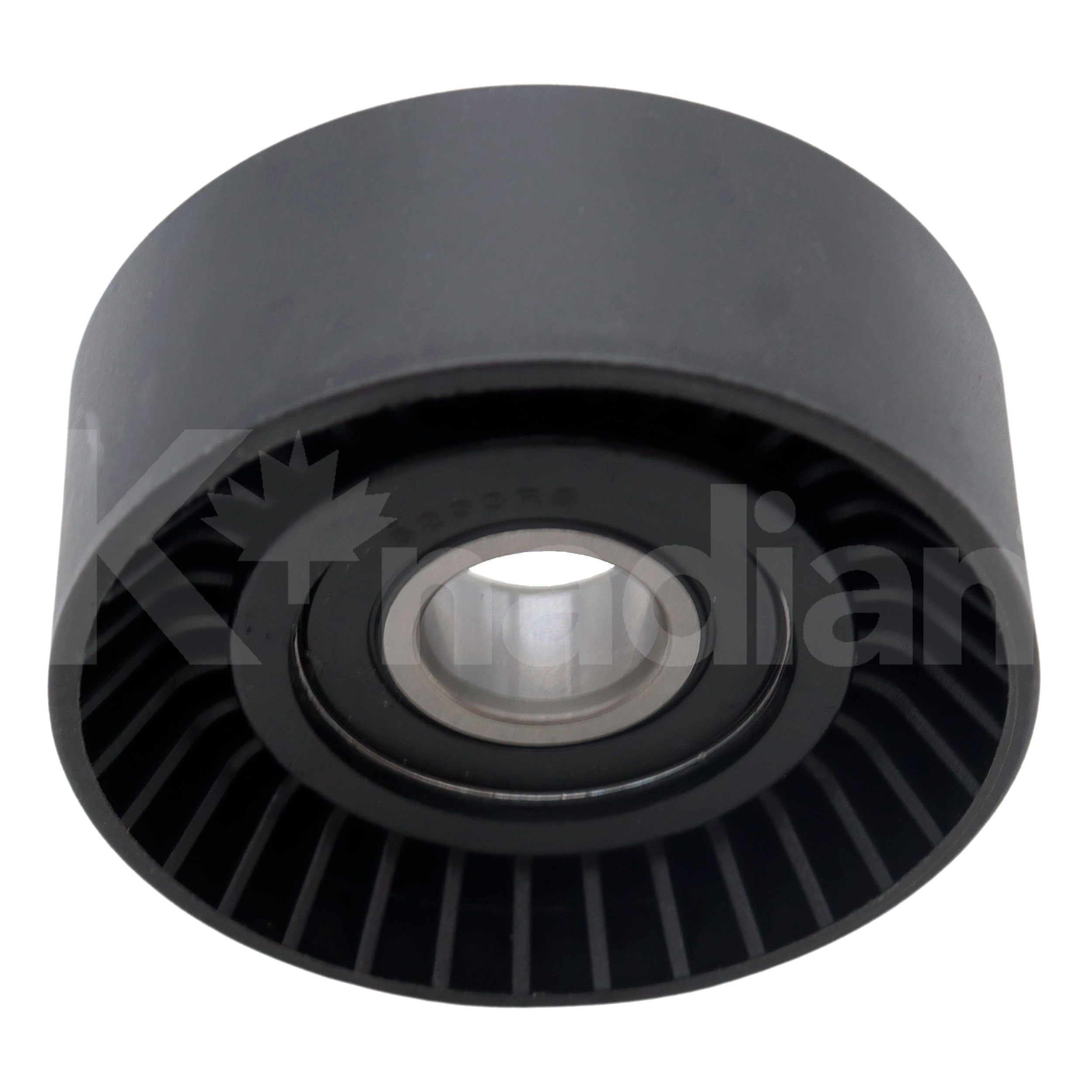 POLEA GUIA DE ACCESORIOS BMW 540i 4.4L V8 1997-2003