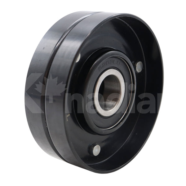 POLEA GUIA DE ACCESORIOS Audi A6 3.0L V6 2002-2005