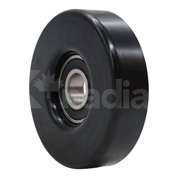 POLEA GUIA DE ACCESORIOS Chevrolet Tracker 2.0L L4 1999-2003; 2005-2008