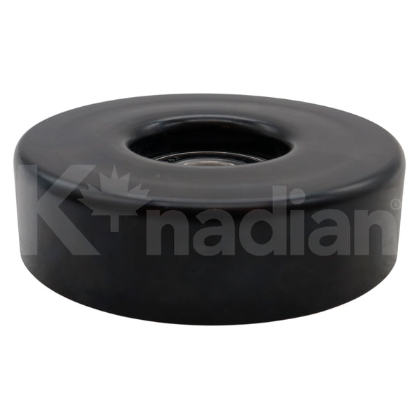 POLEA GUIA DE ACCESORIOS Buick Century 2.2L L4 1993-1996