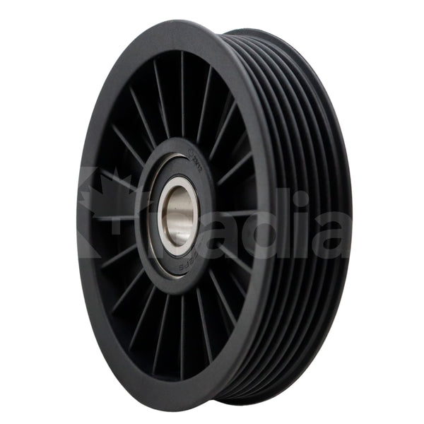 POLEA GUIA DE ACCESORIOS Chevrolet Aveo 1.6L L4 2007-2008