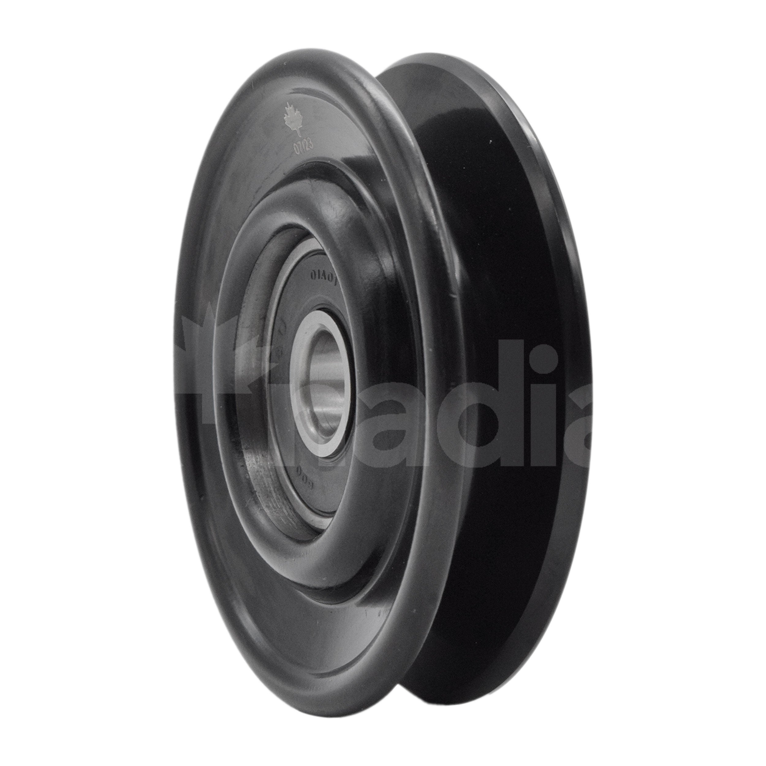 POLEA GUIA DE ACCESORIOS Buick Century 3.8L V6 1976