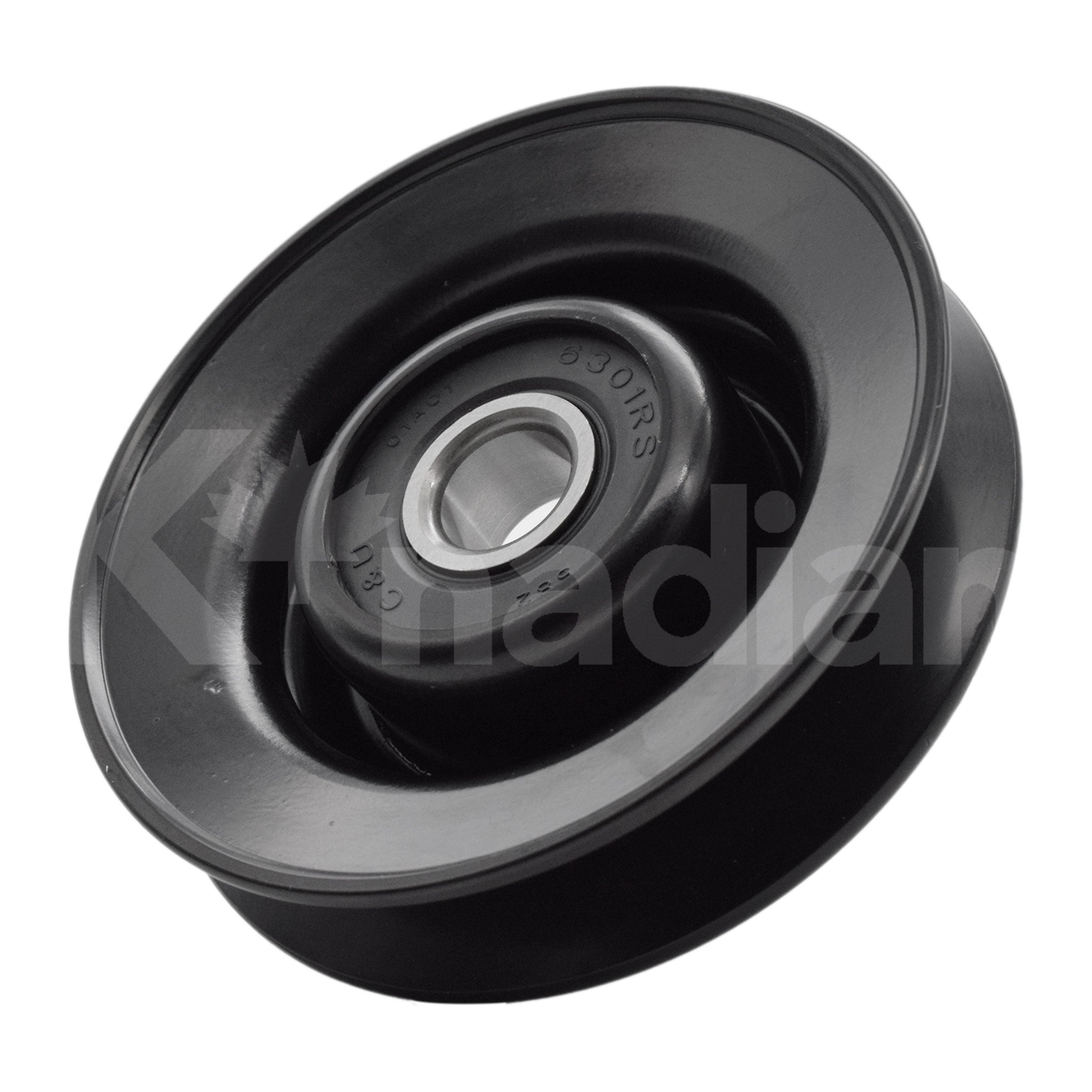 POLEA GUIA DE ACCESORIOS Buick Century 3.8L V6 1976