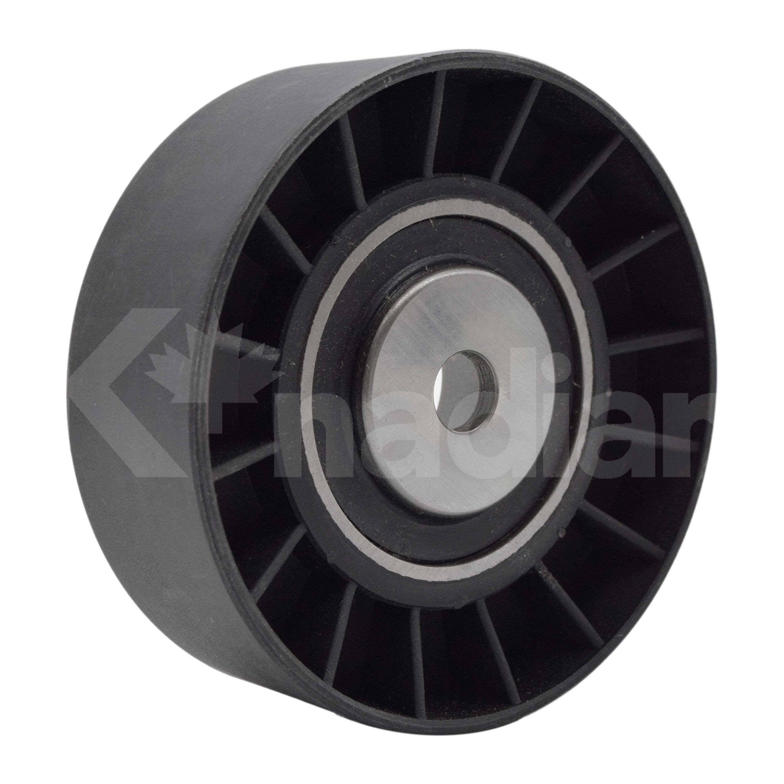 POLEA GUIA DE ACCESORIOS BMW 740i 4.0L V8 1993-1995