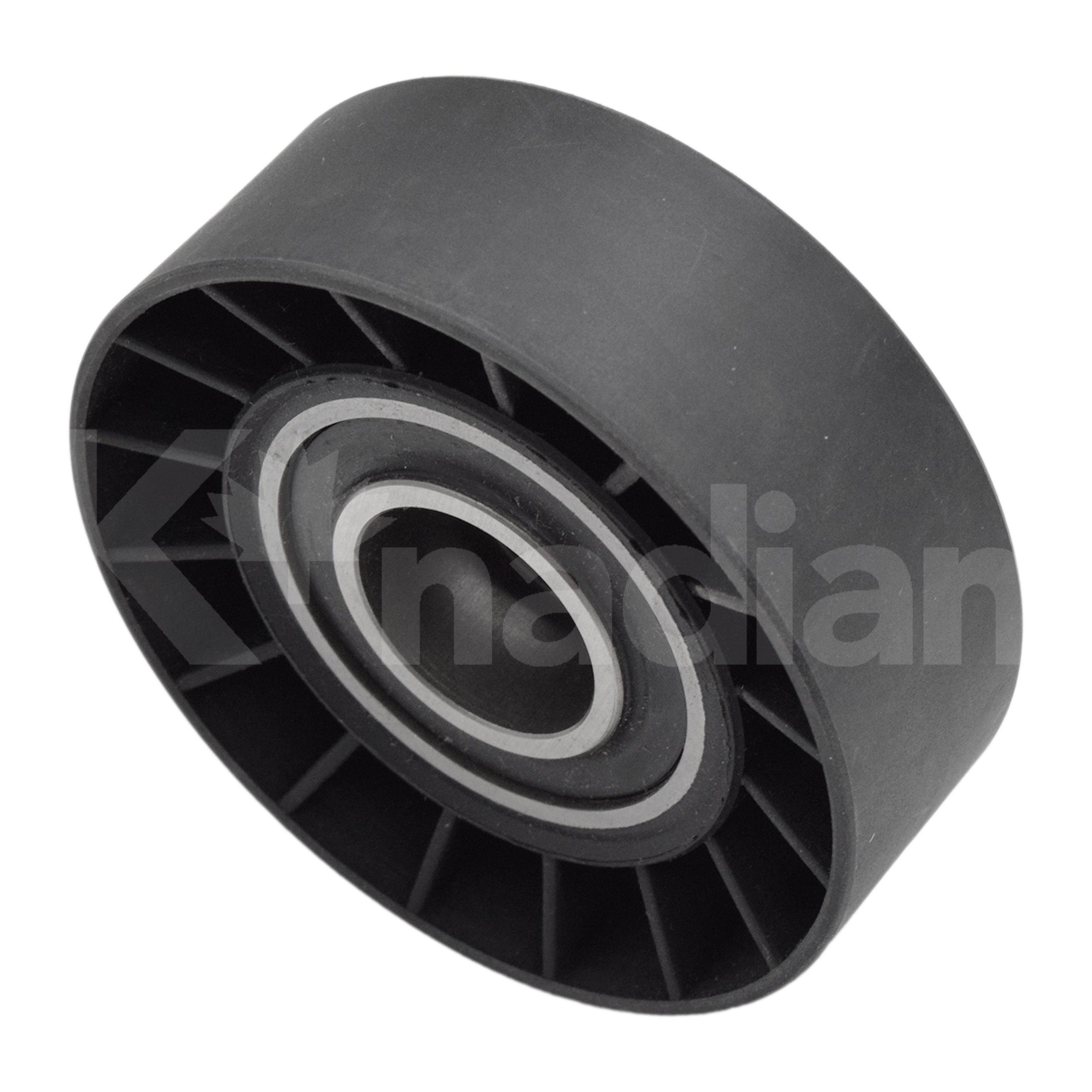 POLEA GUIA DE ACCESORIOS BMW 740i 4.0L V8 1993-1995