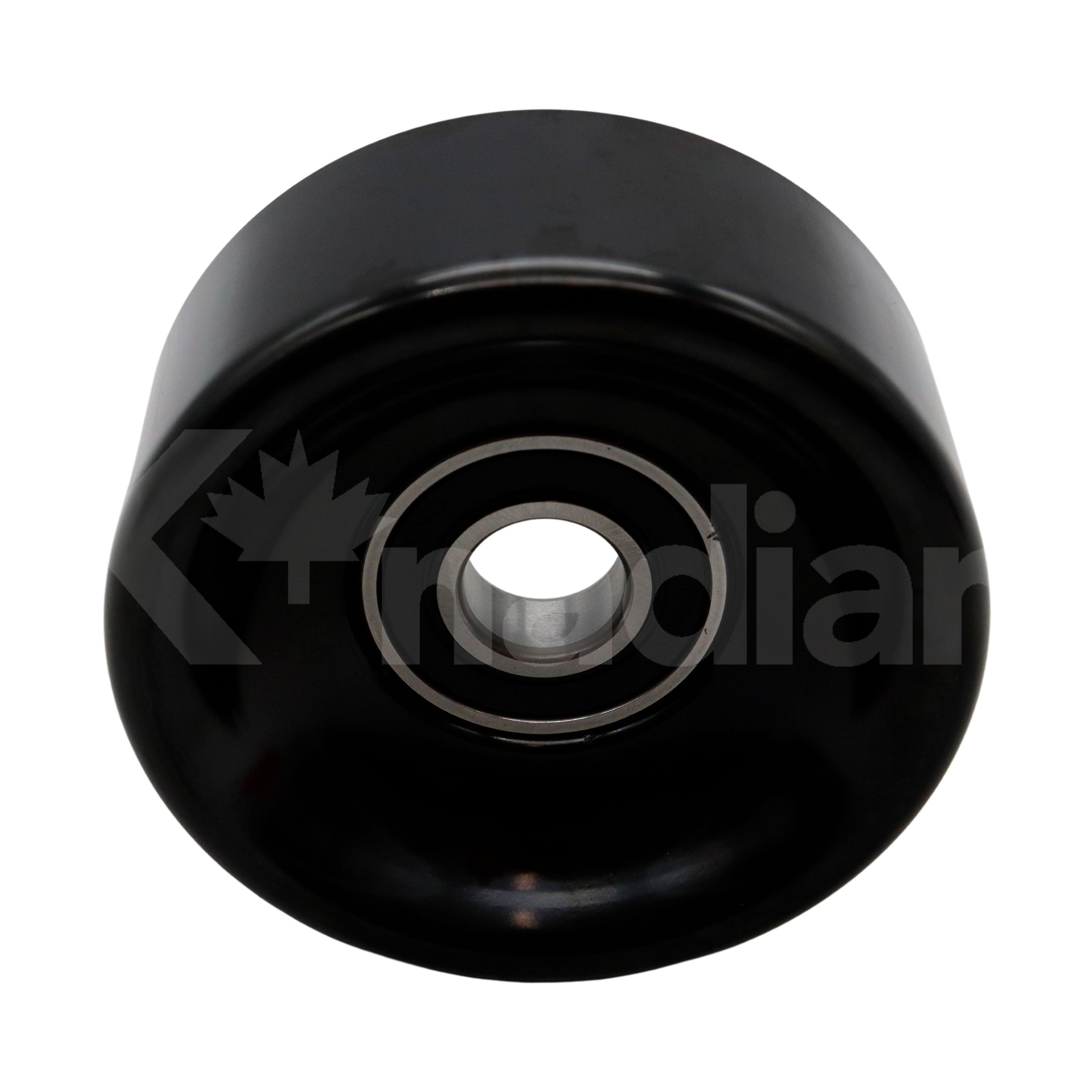 POLEA GUIA DE ACCESORIOS Buick Century 2.5L L4 1985