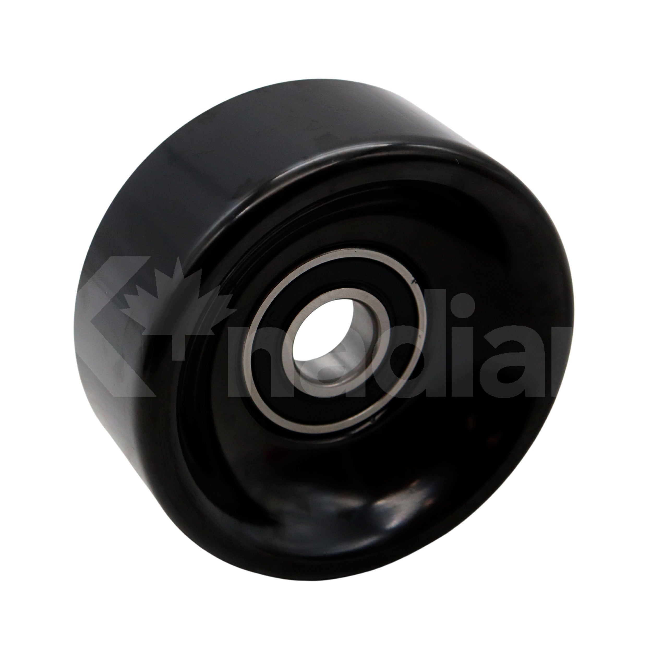 POLEA GUIA DE ACCESORIOS Buick Century 2.5L L4 1985