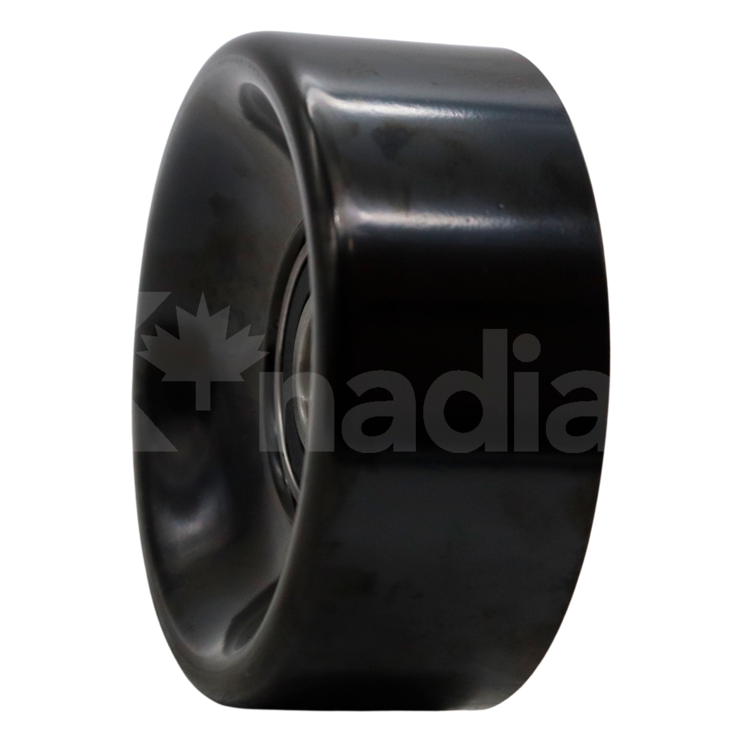 POLEA GUIA DE ACCESORIOS Buick Century 2.5L L4 1985