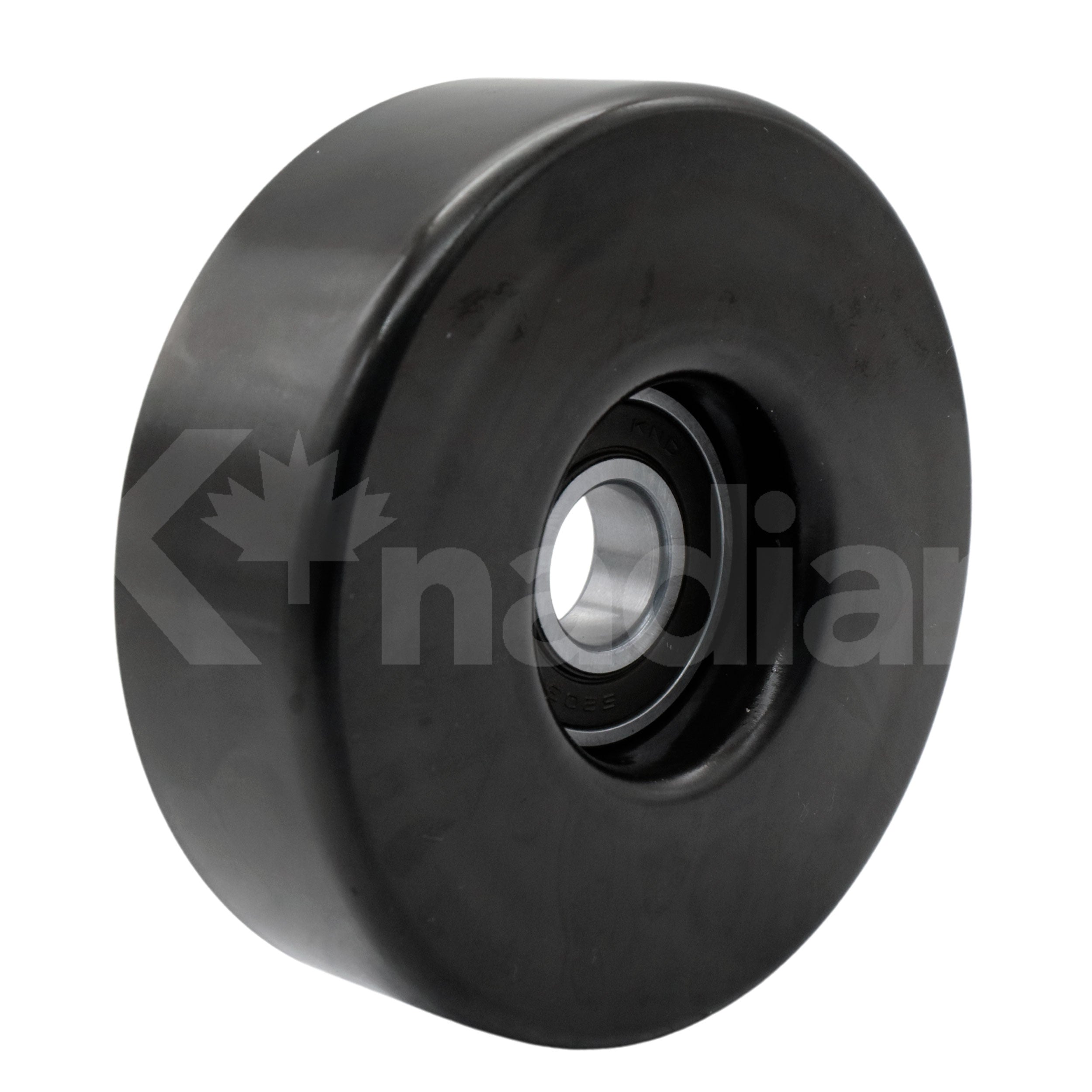 POLEA GUIA DE ACCESORIOS Chevrolet C10 4.1L L6 1979; 1981