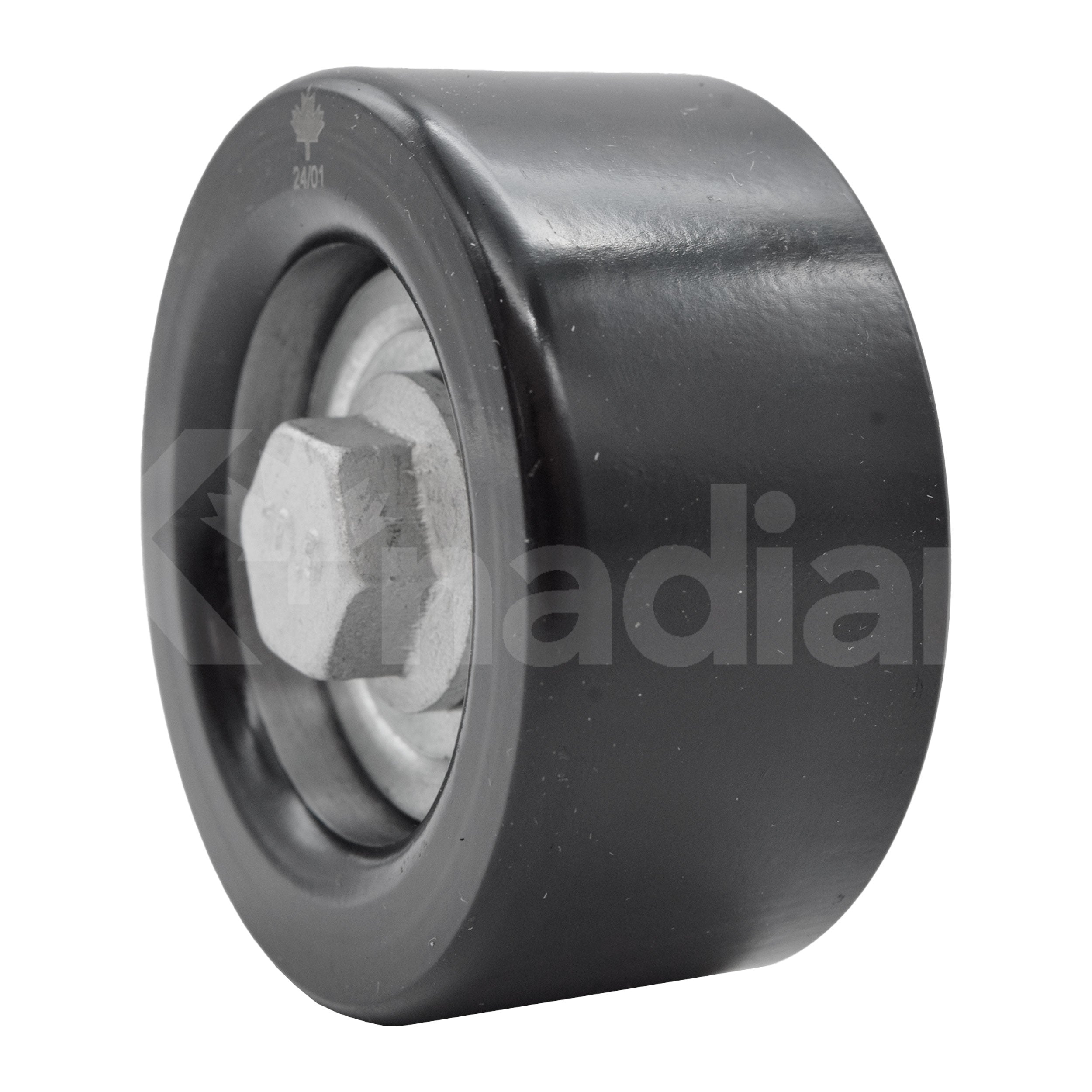 POLEA GUIA DE ACCESORIOS Chevrolet Aveo 1.5L L4 2019-2020