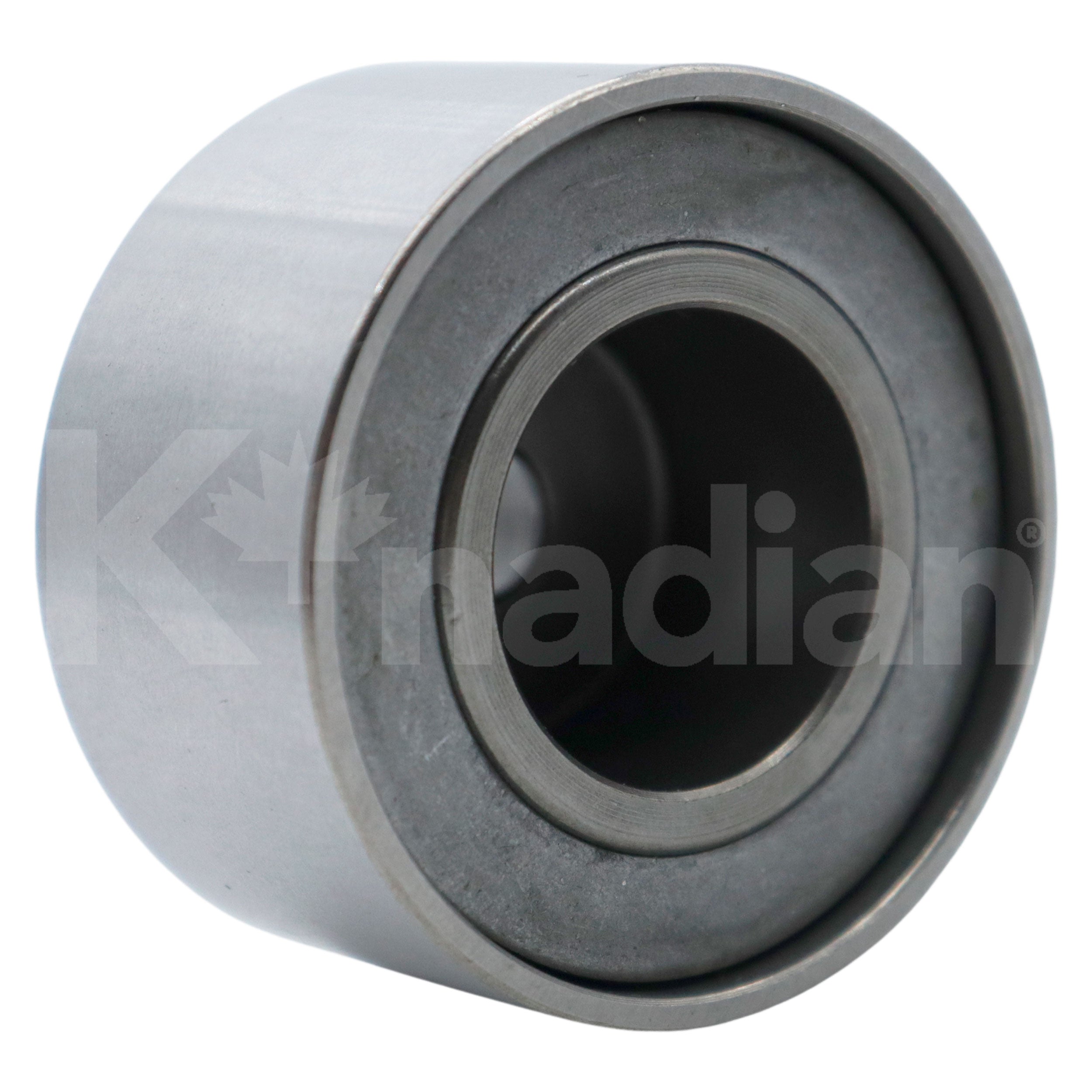 POLEA GUIA DE ACCESORIOS Renault Clio 1.6L L4 2002-2006