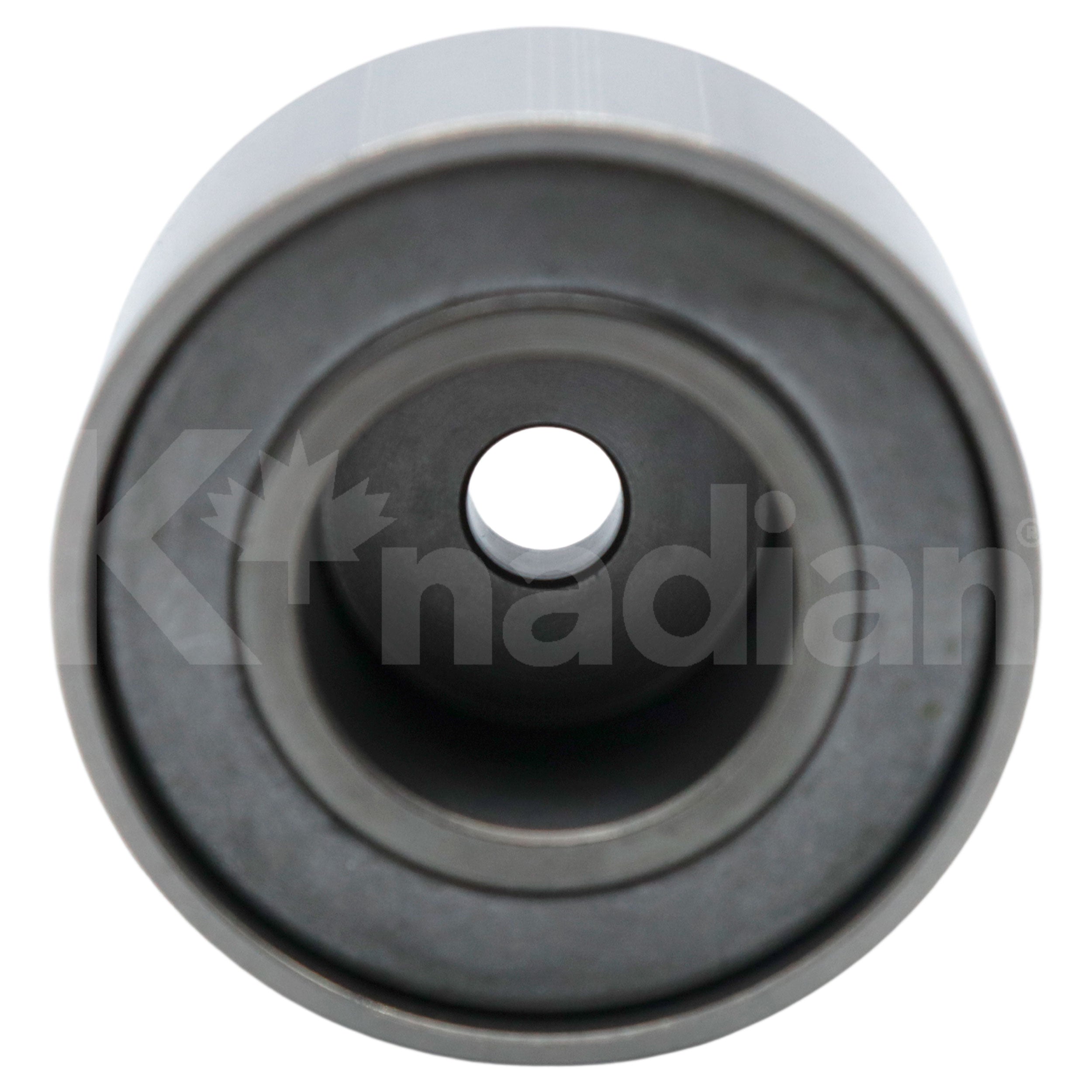 POLEA GUIA DE ACCESORIOS Renault Clio 1.6L L4 2002-2006