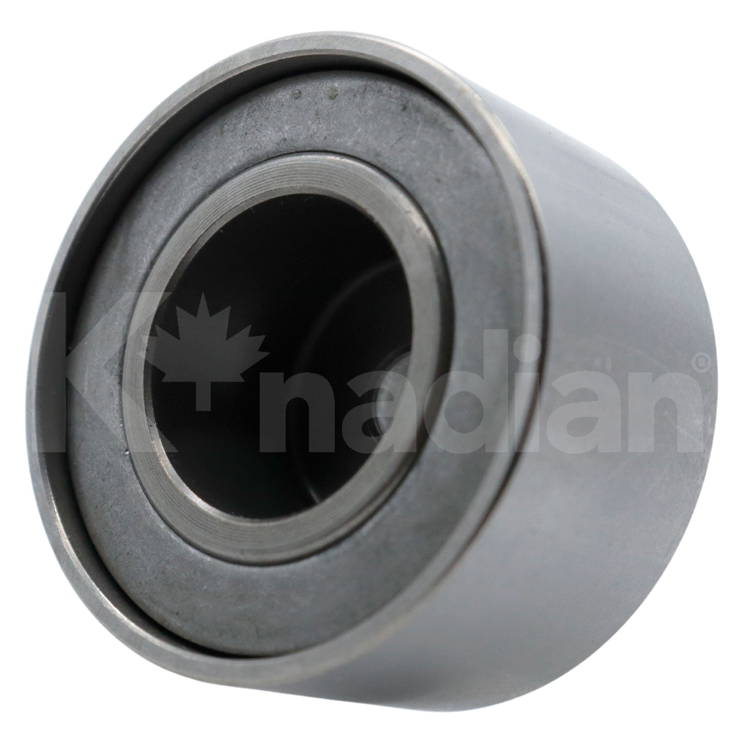 POLEA GUIA DE ACCESORIOS Renault Clio 1.6L L4 2002-2006