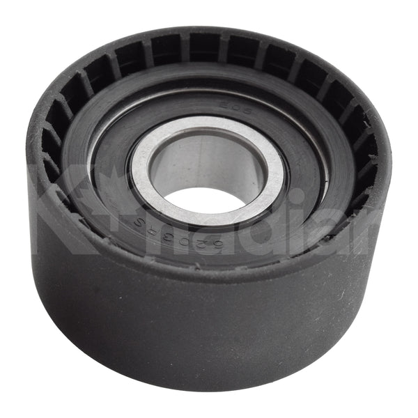 POLEA GUIA DE ACCESORIOS BMW 118i 1.6L L4 2012-2015