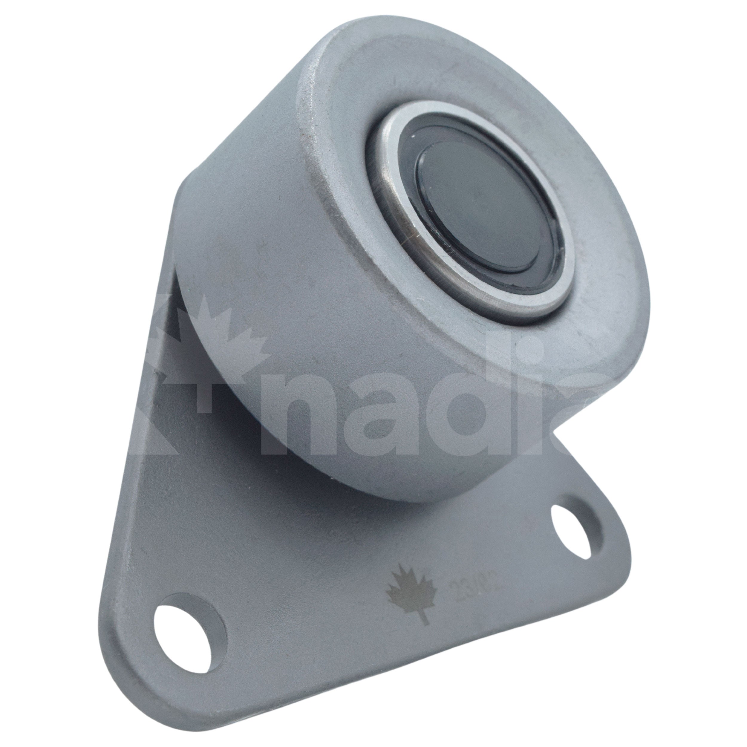 COMPONENTES DE TIEMPO PARA FORD FOCUS 2.0L L4 2007-2011 NÚMERO DE MOTOR DE ASPIRACIÓN NATURAL 3188688 Y ANTERIORES