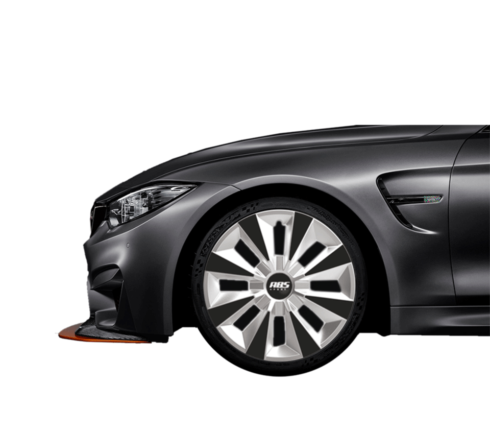 TAPON DE RUEDA ABS BICOLOR TGOL2015 R14