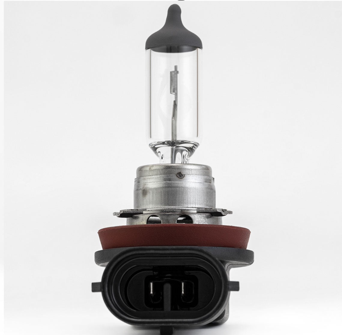 FOCO H11 12V 55W