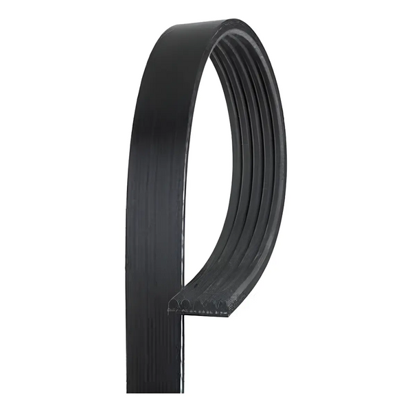 BANDA 5K1090 MICRO-V DH DOD STRATUS 01-02 2.4L L4