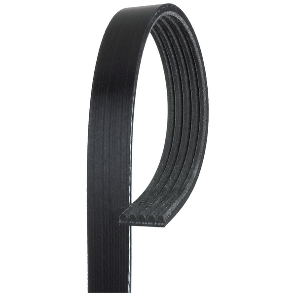 BANDA MICRO-V DH DOD STRATUS 01-04  2.4L L4