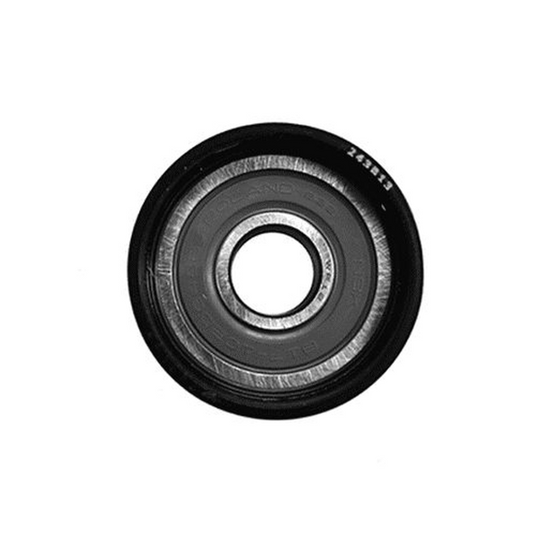 POLEA GUIA ACCESORIOS CLIO SPORT 2.0L 02-06, MEGANE 2.0L 04-010