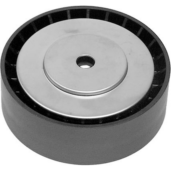 CAMBIO A 531073410 POLEA GUIA ACCESORIOS VW EUROVAN 01/04  2.5L DOHC