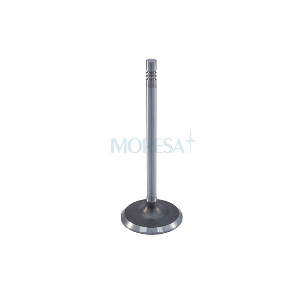 VALVULA ADMISION CHE CORSA MERIVA 06/10 TORNADO 06/15 1.8L L4 SOHC 8 VALV