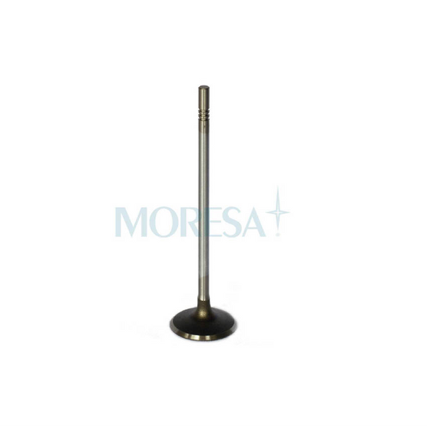 VALVULA ADMISION CHEVROLET AVEO 1.6L 08-018, SONIC 1.6L 012-017, G3 08-09 (CON VVT)