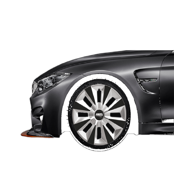 TAPON DE RUEDA ABS BICOLOR TGOL2015 R14