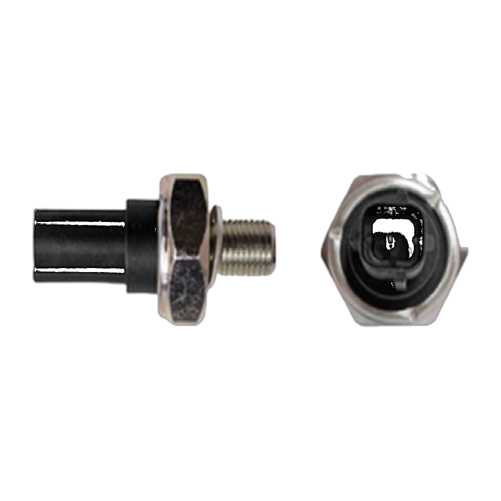 BULBO DE ACEITE VW POINTER 98-010  ( COLOR NEGRO PRESION 015 A 045 BAR )