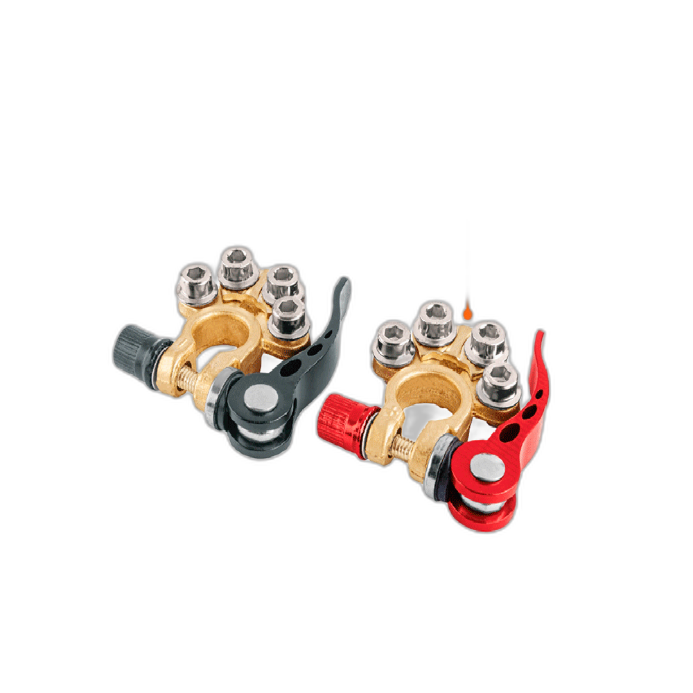 BLISTER 2 TERMINALES PARA BATERIA DESCONEXION RAPIDA, TRUPER