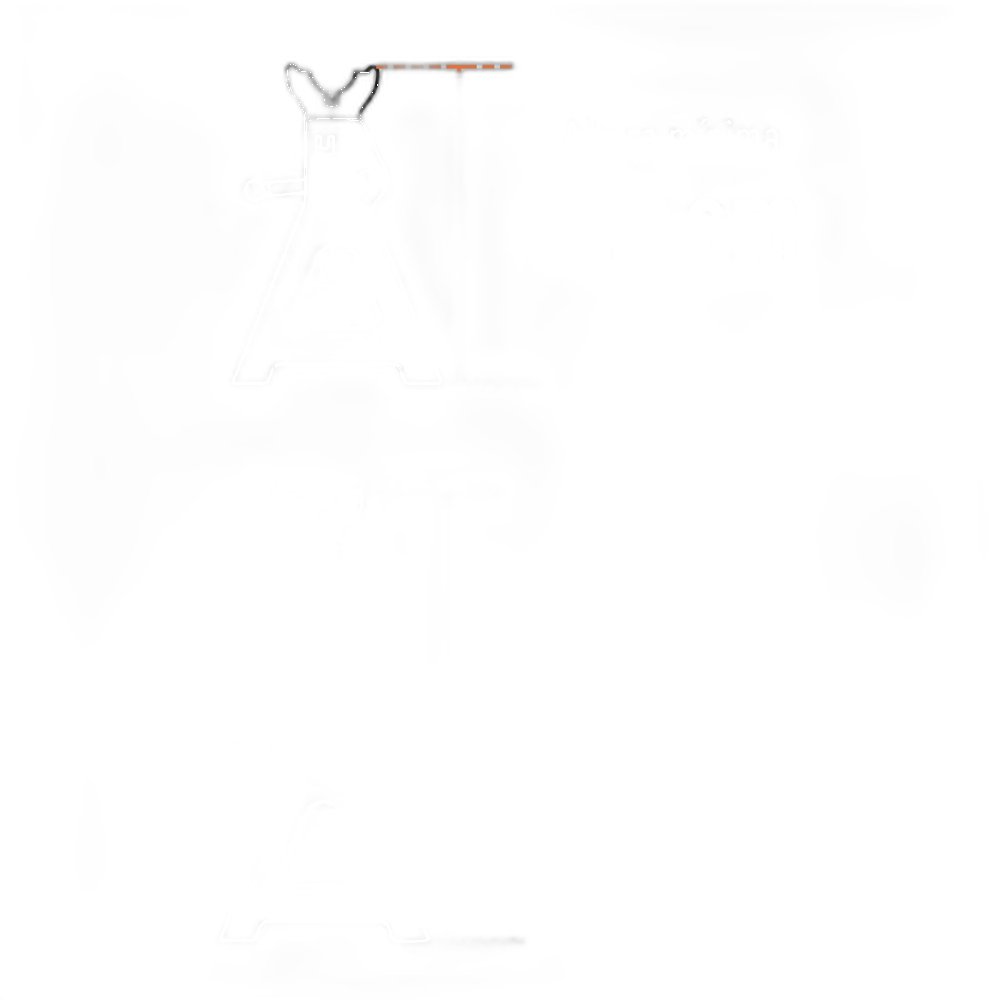 TORRE PARA AUTO 3 TONELADAS